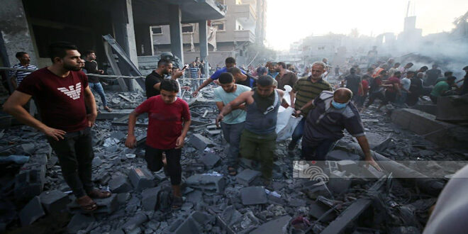 51 martyrs in the occupation massacres on Gaza Strip during the past 24 hours