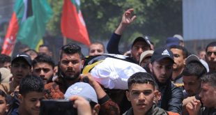 Asciende a 21 cifra de mártires palestinos