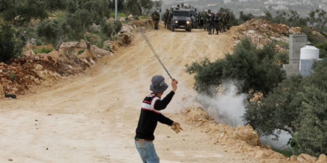 Fuerzas de ocupación israelíes hieren a decenas palestinos y arrancan a 50 olivos en Jerusalén