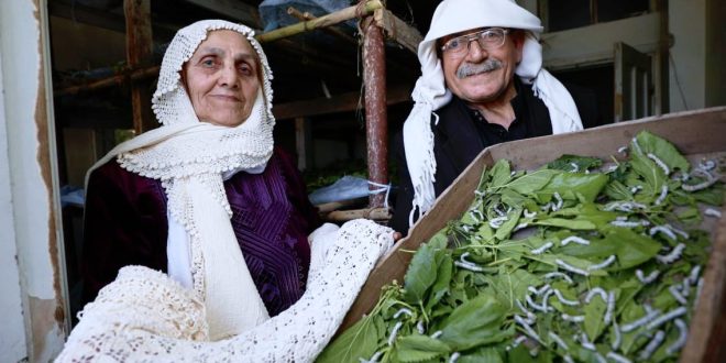 La-seda-natural,-uno-de-los-secretos-del-antiguo-patrimonio-sirio