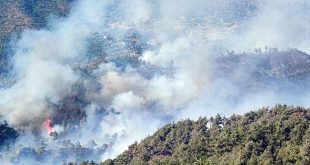 Los bomberos luchan para extinguir incendios forestales en el noroeste de Siria