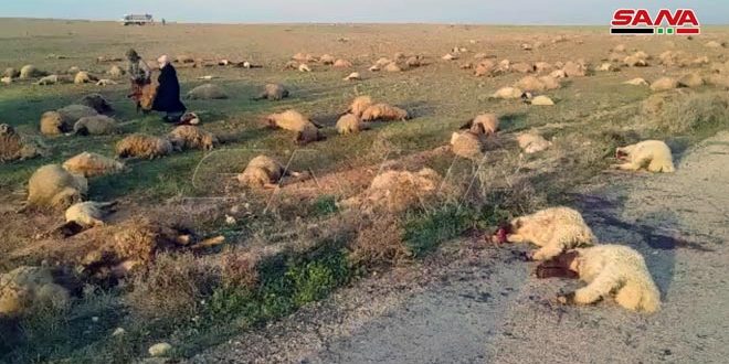 Terroristas atacan y asesinan a seis pastores en el desierto de Deir Ezzor