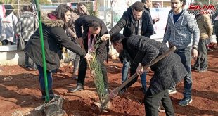 Campaña de siembra de árboles en Alepo