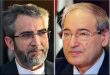 پیام تسلیت وزیر امور خارجه به باقری کنی درپی درگذشت رئیسی و عبد اللهیان