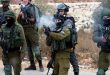 شهادت دو فلسطینی در شهر قلقیلیه در کرانه باختری
