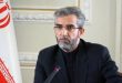 باقری کنی: صدور قطعنامه هیچ تاثیری بر اراده ایران ندارد