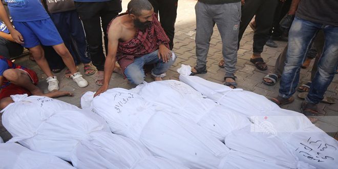 Vingt-huit martyrs et des dizaines de blessés à Gaza ces dernières 24 heures