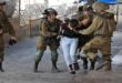 Israeli occupation arrests 15 Palestinians in the West Bank