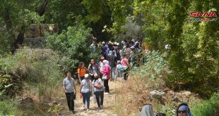 Una caminata ambiental en la localidad de Zueitina, Homs, para promover la cultura de proteger los bosques (fotos)