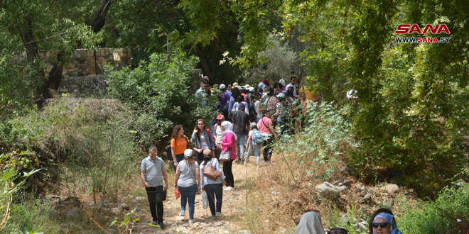 Una caminata ambiental en la localidad de Zueitina, Homs, para promover la cultura de proteger los bosques (fotos)