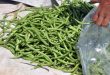 کاشت بیش از 6 هزار هکتار با سبزیجات تابستانی در حسکه